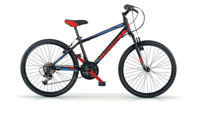 {{ Goedkoop fietsen aantrekkelijk geprijsd }} - {{ Winkelwarenhuis.nl}}