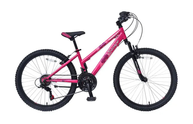 {{ Goedkoop fietsen aantrekkelijk geprijsd }} - {{ Winkelwarenhuis.nl}}