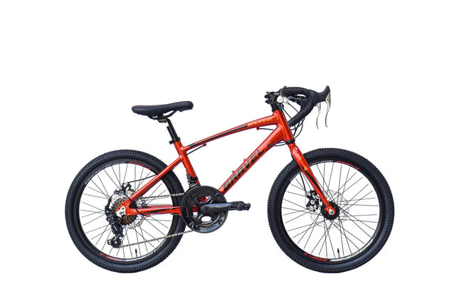 {{ Goedkoop fietsen aantrekkelijk geprijsd }} - {{ Winkelwarenhuis.nl}}