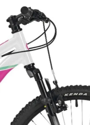 {{ Goedkoop fietsen aantrekkelijk geprijsd }} - {{ Winkelwarenhuis.nl}}