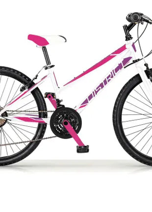 {{ Goedkoop fietsen aantrekkelijk geprijsd }} - {{ Winkelwarenhuis.nl}}