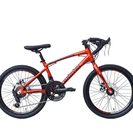 {{ Goedkoop fietsen aantrekkelijk geprijsd }} - {{ Winkelwarenhuis.nl}}