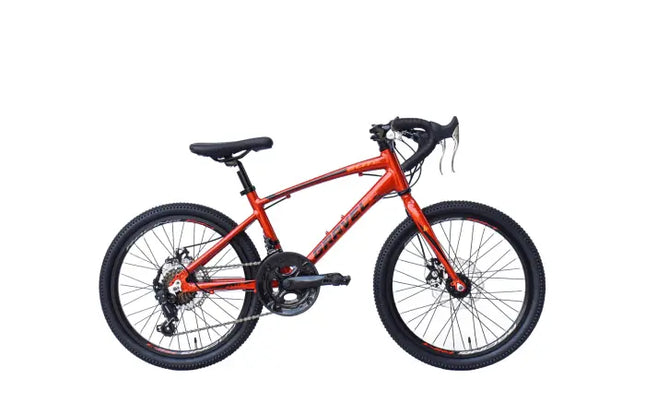 {{ Goedkoop fietsen aantrekkelijk geprijsd }} - {{ Winkelwarenhuis.nl}}