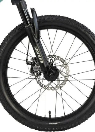 {{ Goedkoop fietsen aantrekkelijk geprijsd }} - {{ Winkelwarenhuis.nl}}