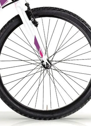 {{ Goedkoop fietsen aantrekkelijk geprijsd }} - {{ Winkelwarenhuis.nl}}